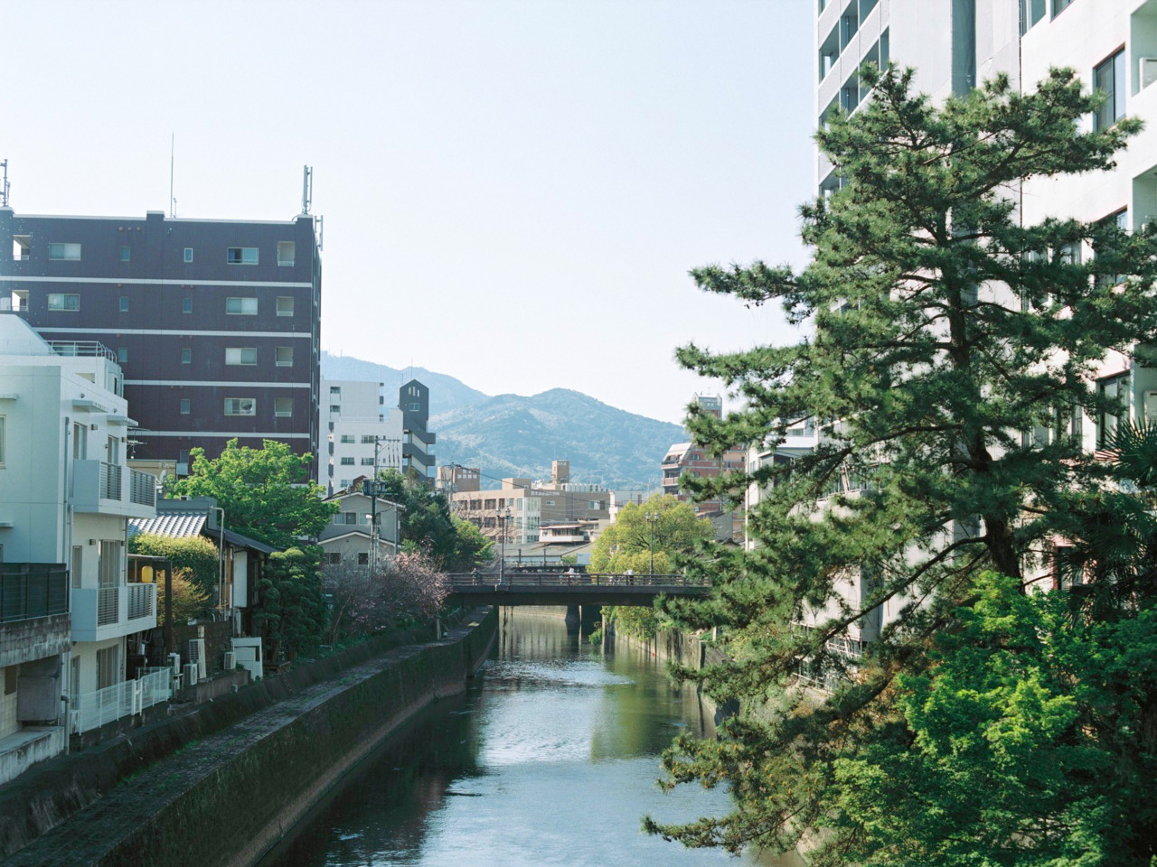 新町・古町エリアを隔てる坪井川