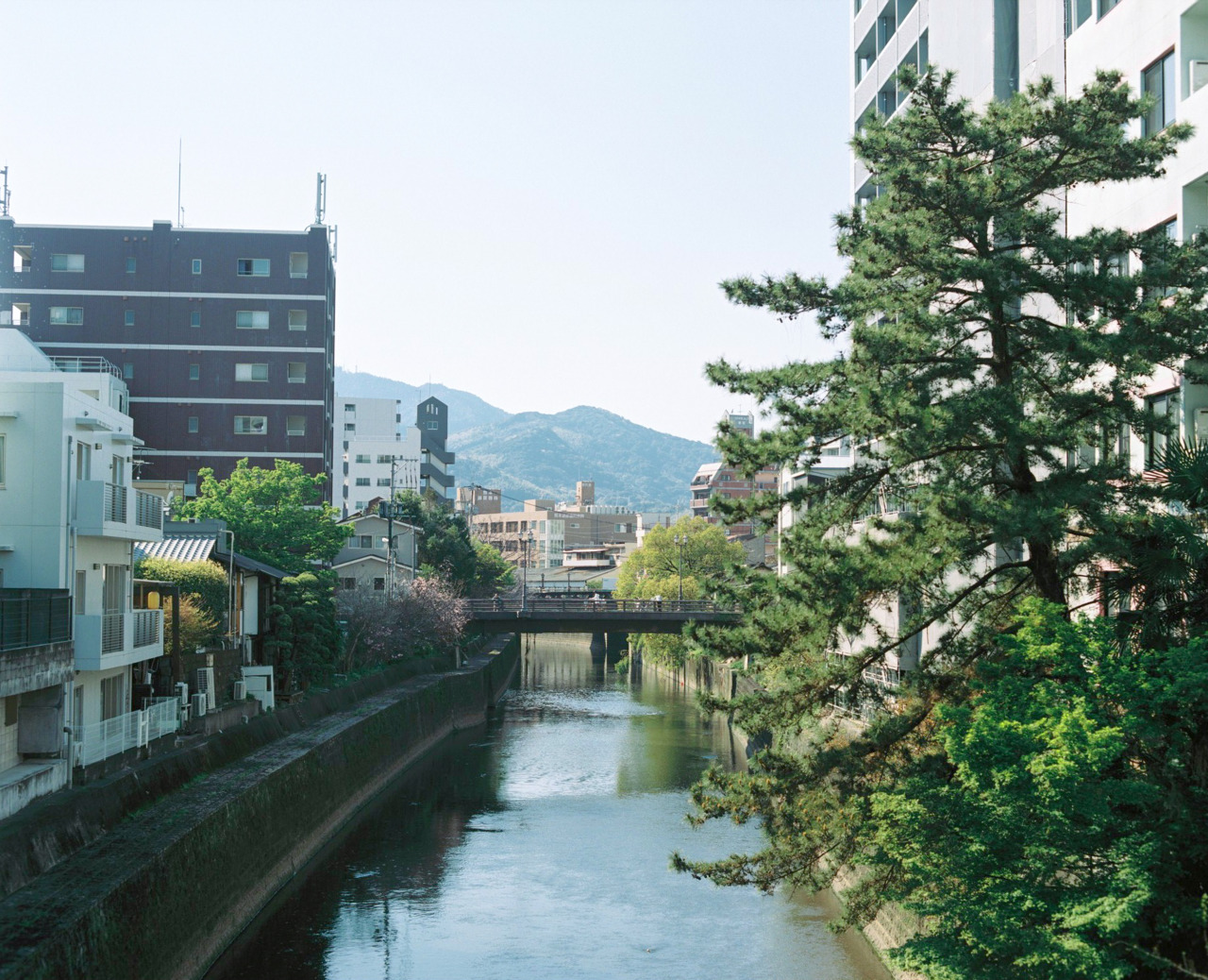 新町・古町エリアを隔てる坪井川