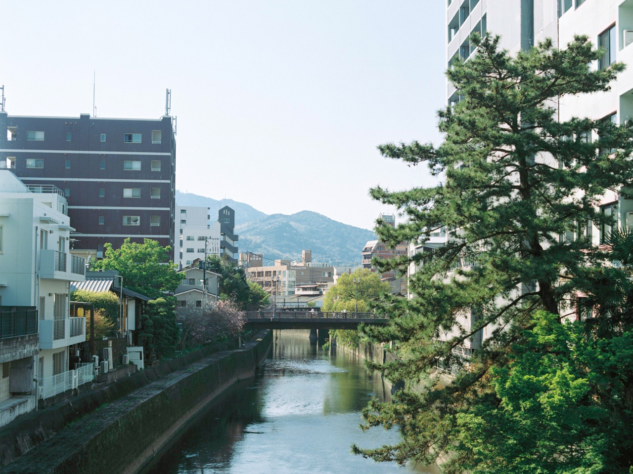 新町・古町エリアを隔てる坪井川