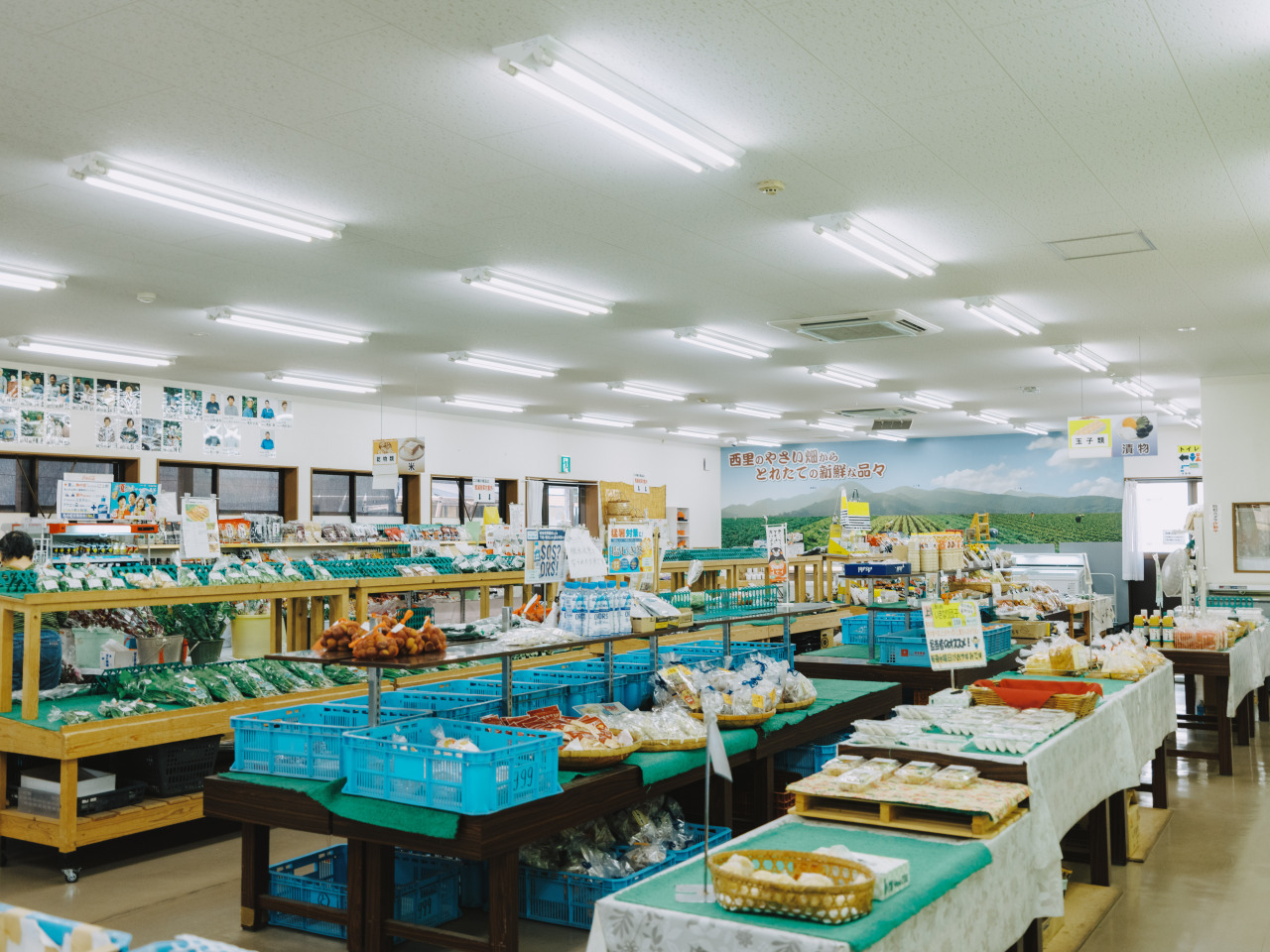 とれたて市
