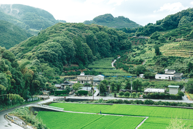 熊本市空き家バンク