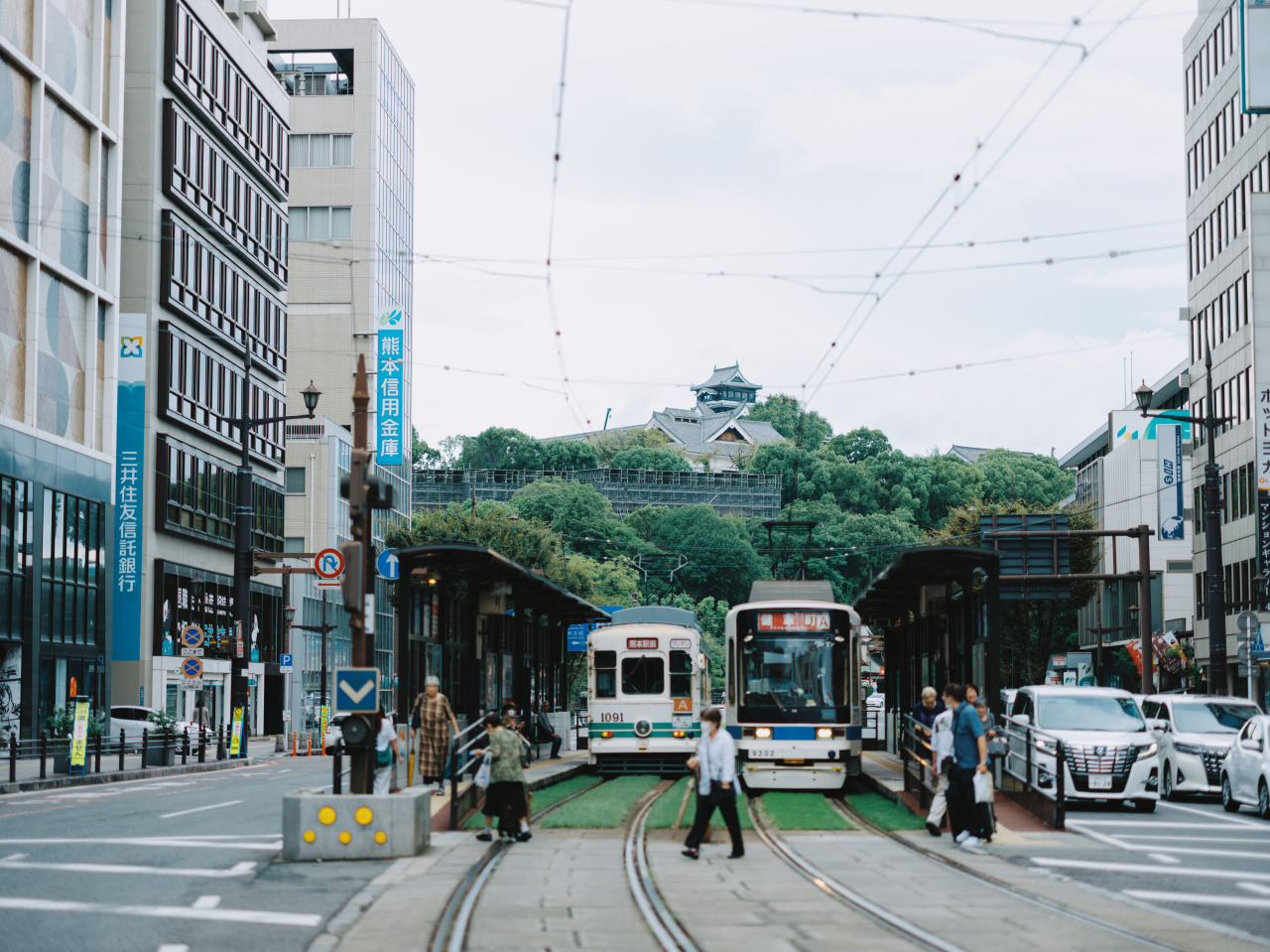 移住のステップ