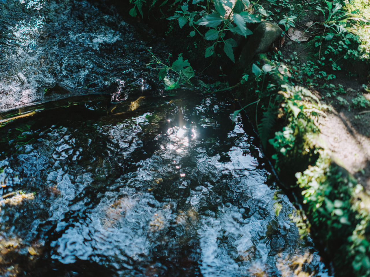蛇口からミネラルウォーター!? 地下水豊富な熊本市の”水”スポットを 巡る