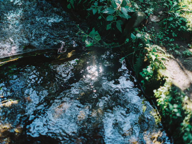 蛇口からミネラルウォーター!? 地下水豊富な熊本市の”水”スポットを 巡る