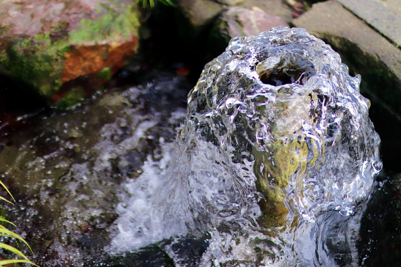 【くまもと移住ラボ/レポート】うろんころんサロンvol.1「くまもと水物語」